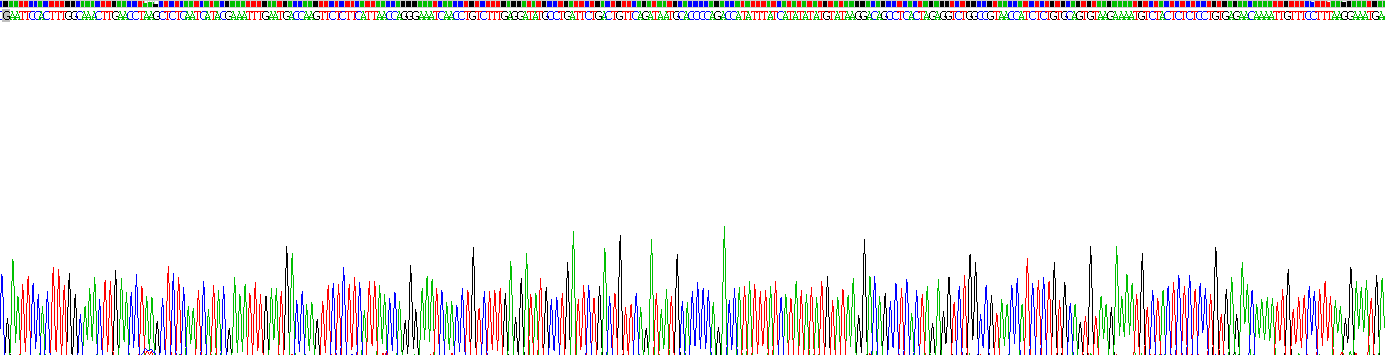 Recombinant Interleukin 18 (IL18)