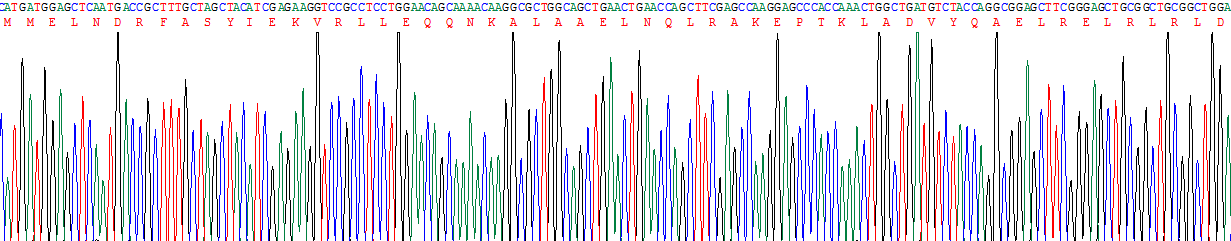 Recombinant Glial Fibrillary Acidic Protein (GFAP)