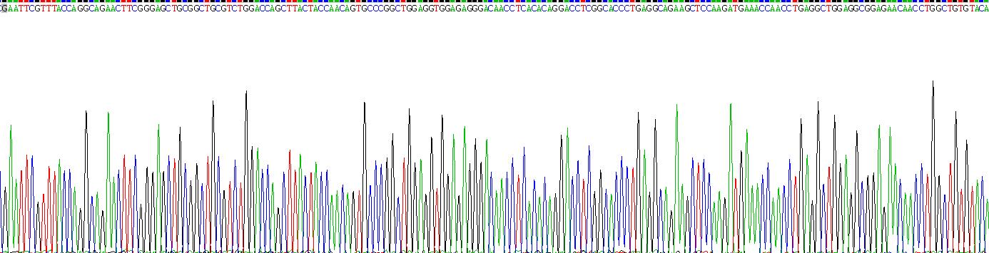 Recombinant Glial Fibrillary Acidic Protein (GFAP)