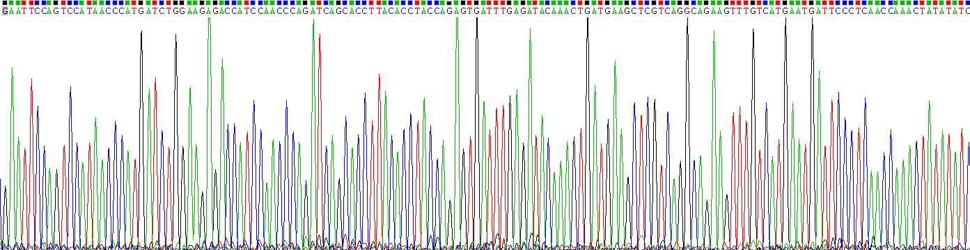 Recombinant Interleukin 1 Alpha (IL1a)