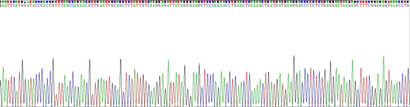 Recombinant Interleukin 3 (IL3)