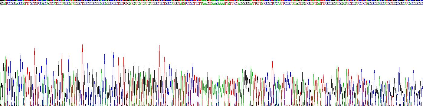 Recombinant Interleukin 4 (IL4)