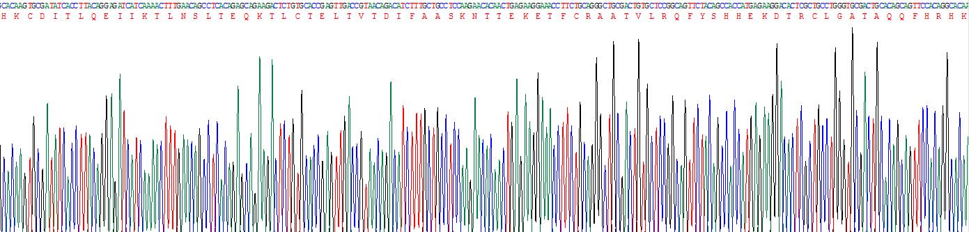 Recombinant Interleukin 4 (IL4)