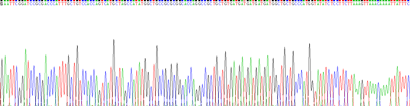 Recombinant Interleukin 5 (IL5)