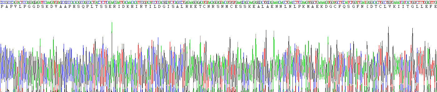 Recombinant Interleukin 6 (IL6)