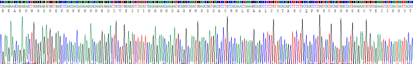 Recombinant Selectin, Leukocyte (SELL)