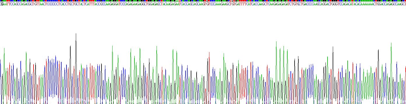 Recombinant Monocyte Chemotactic Protein 1 (MCP1)