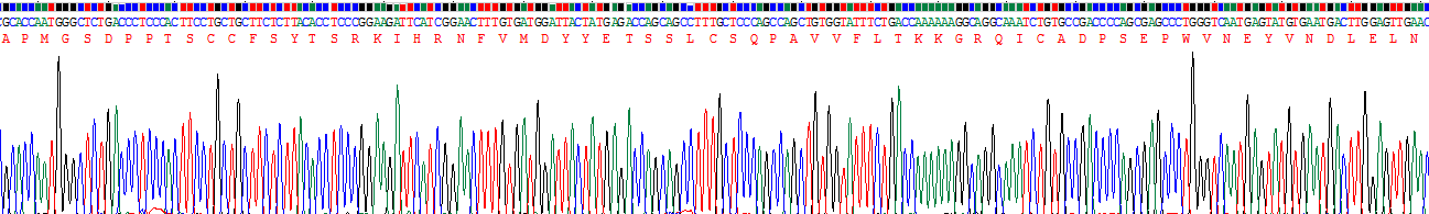 Recombinant Macrophage Inflammatory Protein 1 Beta (MIP1b)