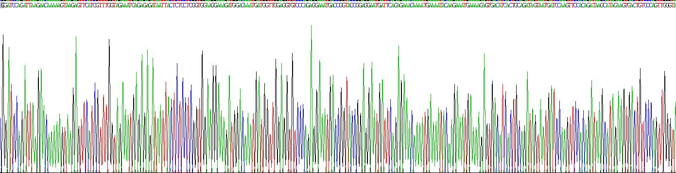 Recombinant Protein SCAF11 (SCAF11)