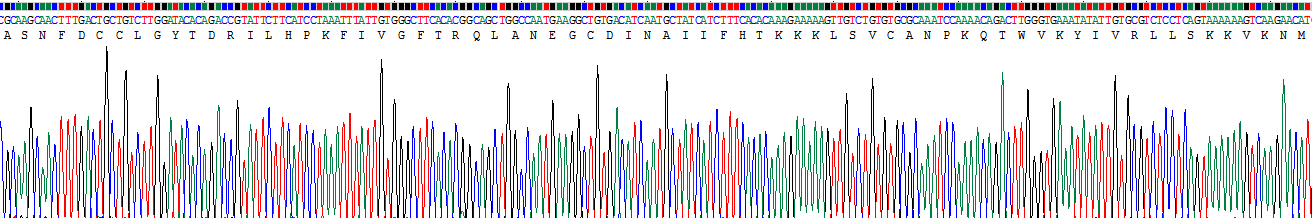 Recombinant Macrophage Inflammatory Protein 3 Alpha (MIP3a)