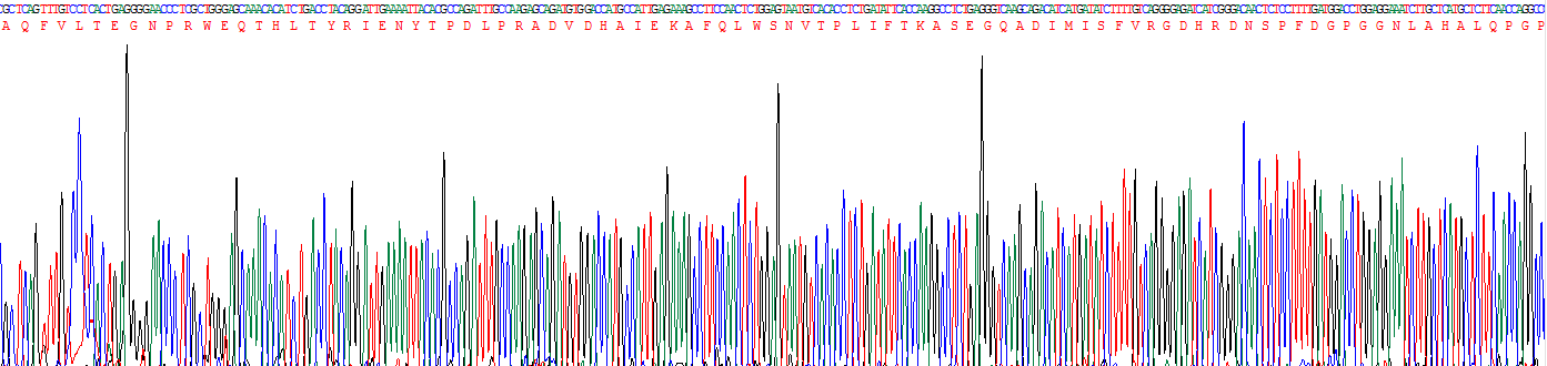 Recombinant Matrix Metalloproteinase 1 (MMP1)