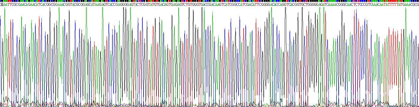 Recombinant Neurotrophin 3 (NT3)