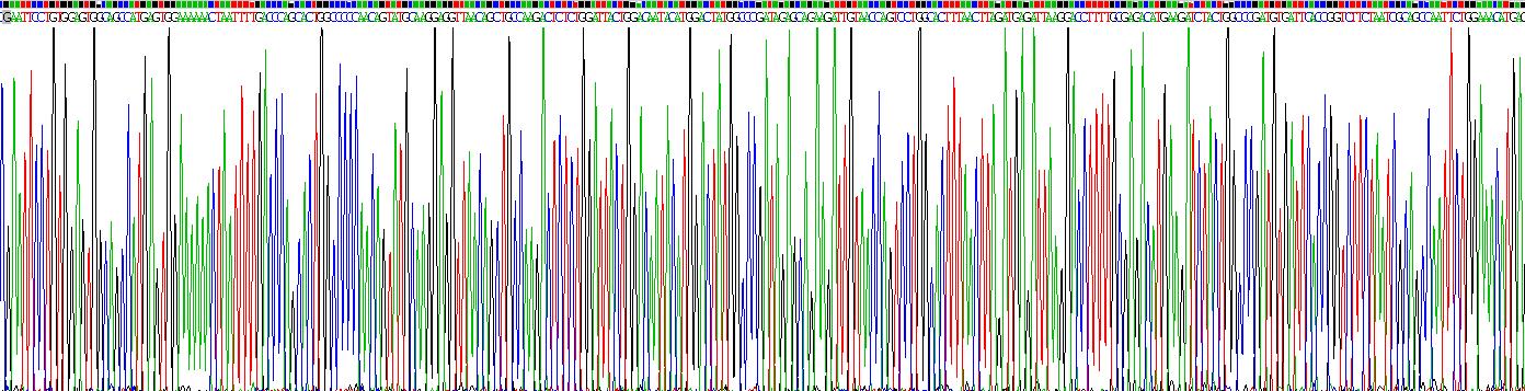 Recombinant Ribonuclease T2 (RNASET2)