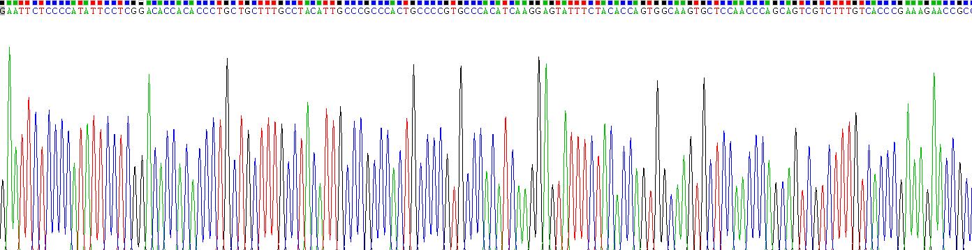 Recombinant Regulated On Activation In Normal T-Cell Expressed And Secreted (RANTES)