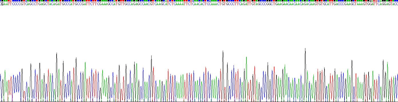 Recombinant Stromal Cell Derived Factor 1 (SDF1)