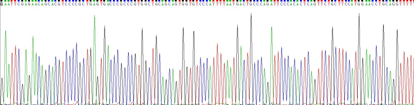 Recombinant Transforming Growth Factor Alpha (TGFa)