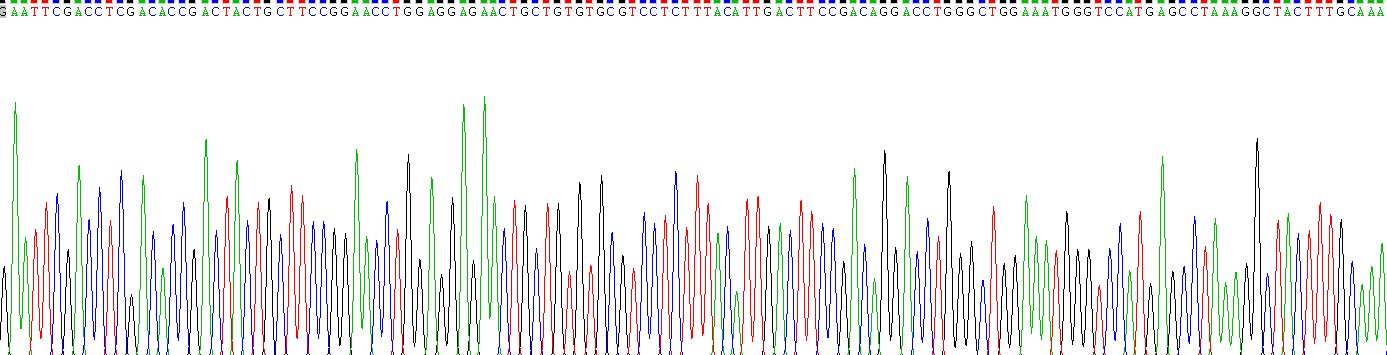 Recombinant Transforming Growth Factor Beta 1 (TGFb1)