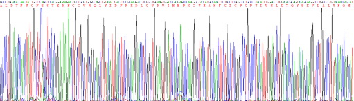 Recombinant Transforming Growth Factor Beta 1 (TGFb1)