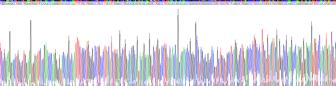 Recombinant Transforming Growth Factor Beta 1 (TGFb1)