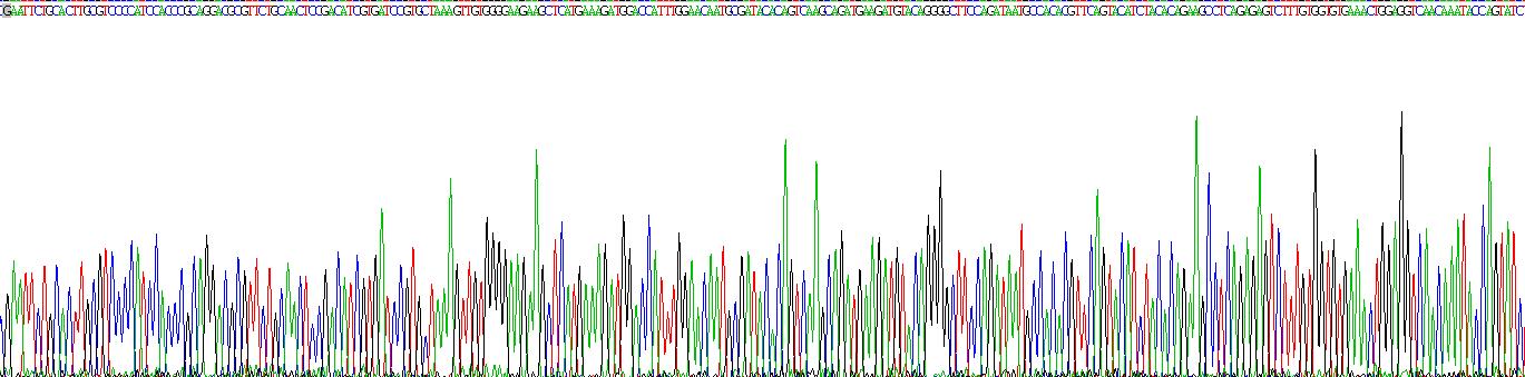 Recombinant Tissue Inhibitors Of Metalloproteinase 3 (TIMP3)