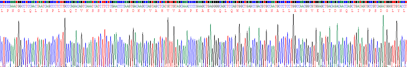 Recombinant Tumor Necrosis Factor Alpha (TNFa)