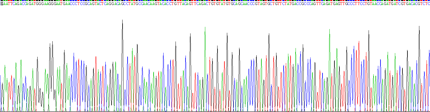 Recombinant Tumor Necrosis Factor Alpha (TNFa)