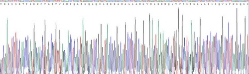 Recombinant Tumor Necrosis Factor Alpha (TNFa)
