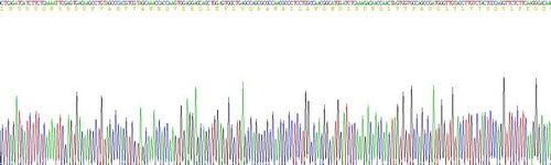 Recombinant Tumor Necrosis Factor Alpha (TNFa)