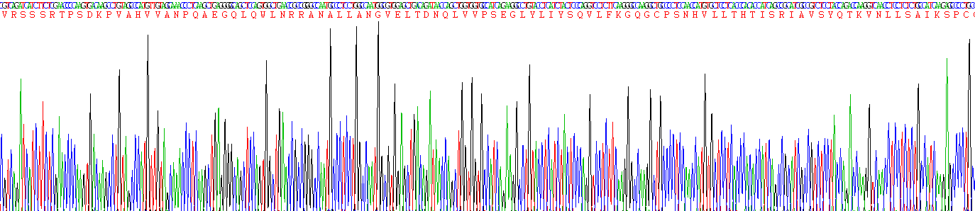 Recombinant Tumor Necrosis Factor Alpha (TNFa)