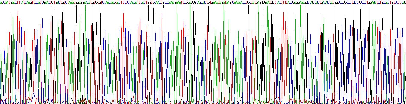 Recombinant Plasminogen Activator, Urokinase (uPA)