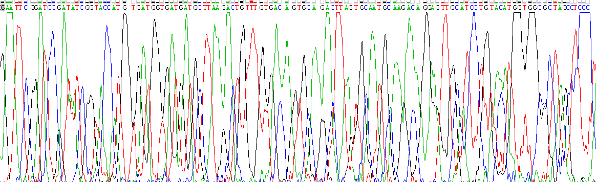 Recombinant Plasminogen Activator, Urokinase Receptor (uPAR)