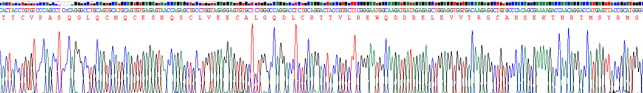 Recombinant Plasminogen Activator, Urokinase Receptor (uPAR)