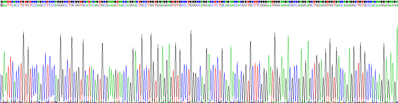 Recombinant Plasminogen Activator, Urokinase Receptor (uPAR)