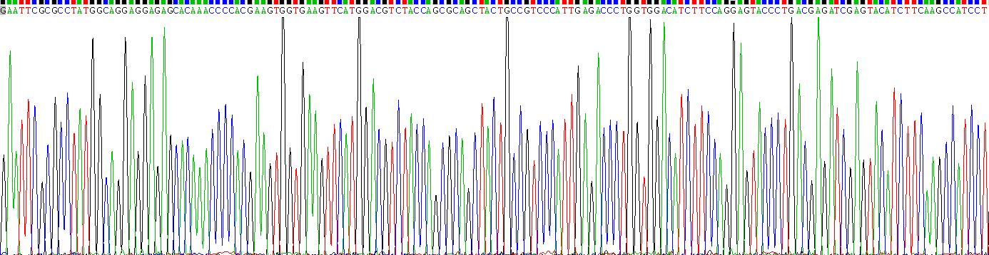 Recombinant Vascular Endothelial Growth Factor A (VEGFA)