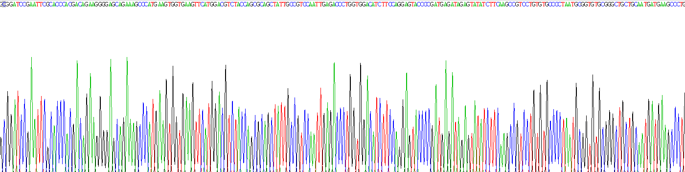 Recombinant Vascular Endothelial Growth Factor A (VEGFA)