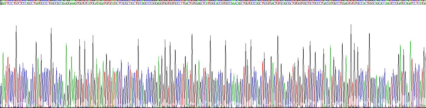Recombinant Vascular Endothelial Growth Factor B (VEGFB)