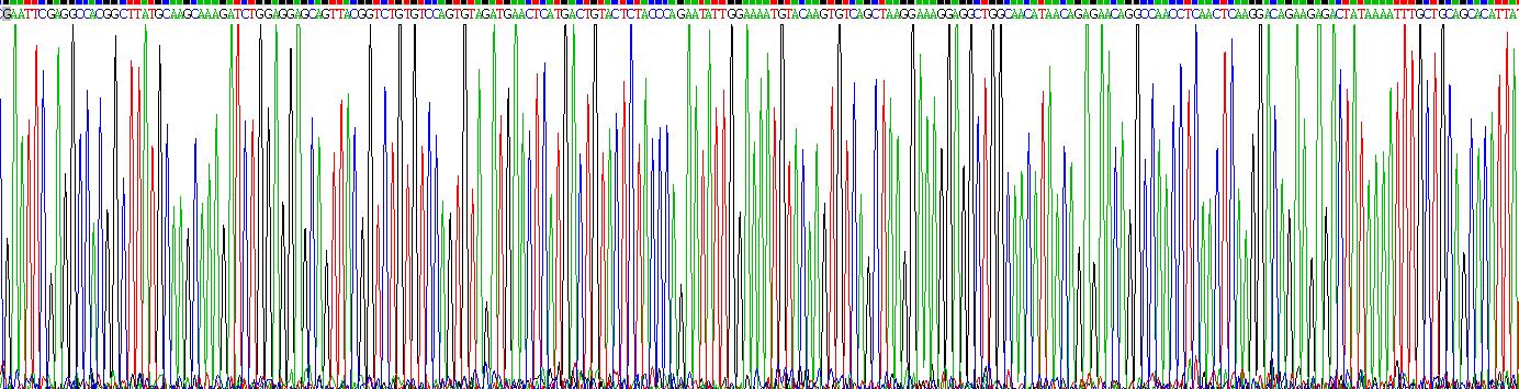 Recombinant Vascular Endothelial Growth Factor C (VEGFC)