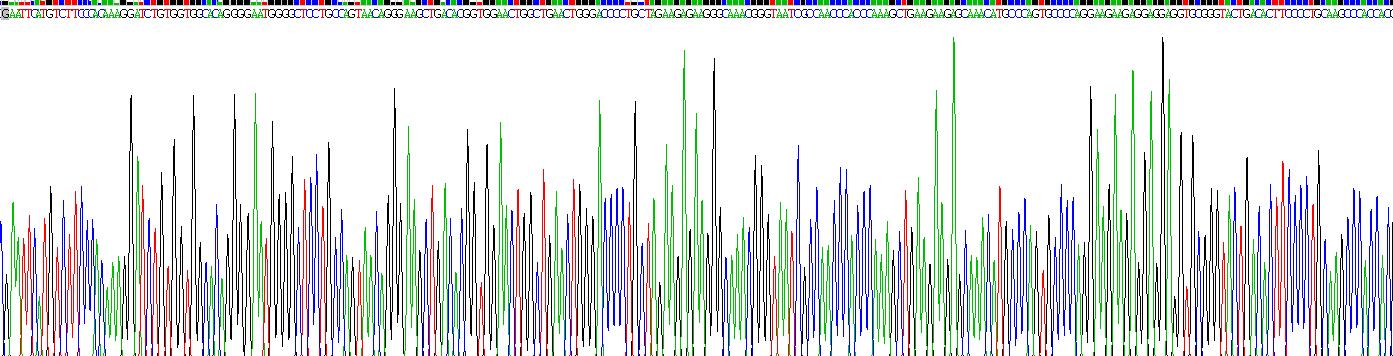 Recombinant Adiponectin Receptor 1 (ADIPOR1)