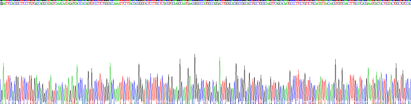 Recombinant Collagen Type IV Alpha 1 (COL4a1)