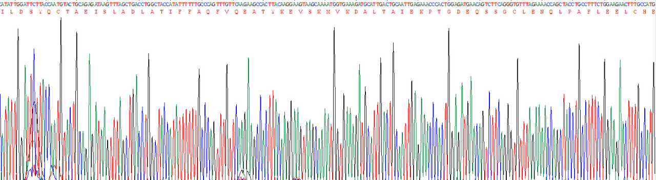 Recombinant Alpha-Fetoprotein (AFP)