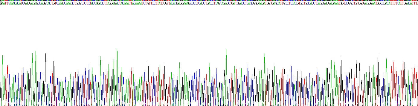 Recombinant Alpha-Fetoprotein (AFP)