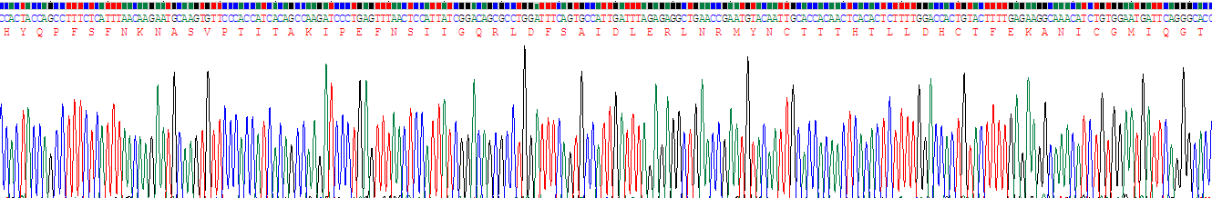 Recombinant Meprin A Alpha (MEP1a)