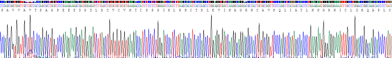 Recombinant Platelet Factor 4 (PF4)