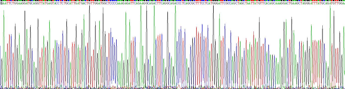 Recombinant Galactosidase Alpha (GLa)