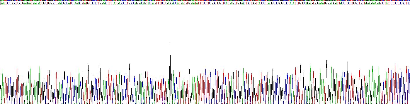 Recombinant Galactosidase Beta (GLb)