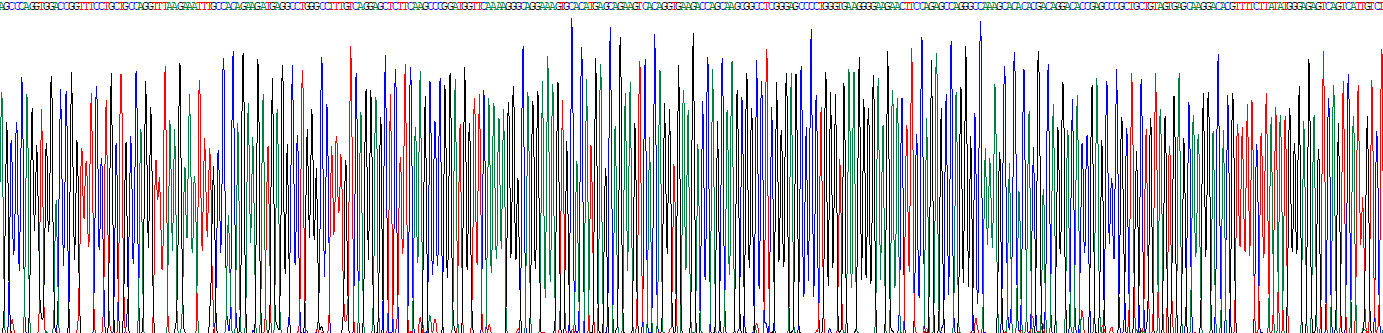 Recombinant Ribonuclease H (RNASEH)