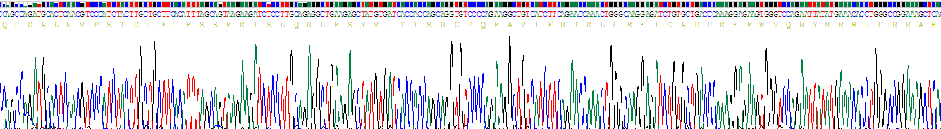 Recombinant Monocyte Chemotactic Protein 4 (MCP4)