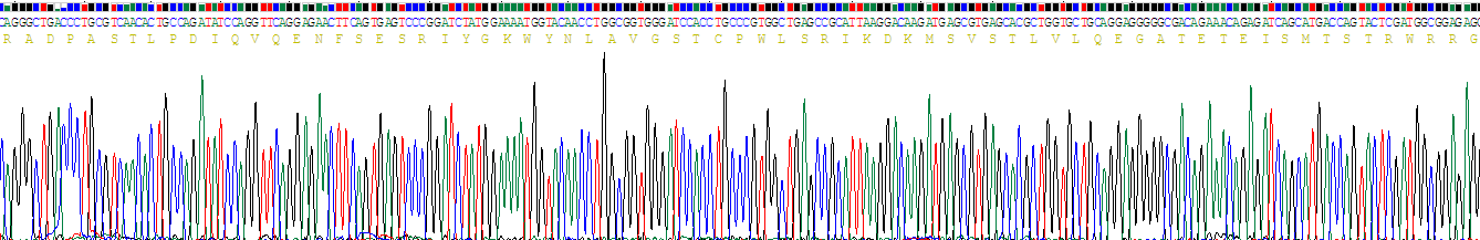 Recombinant Alpha-1-Microglobulin (a1M)