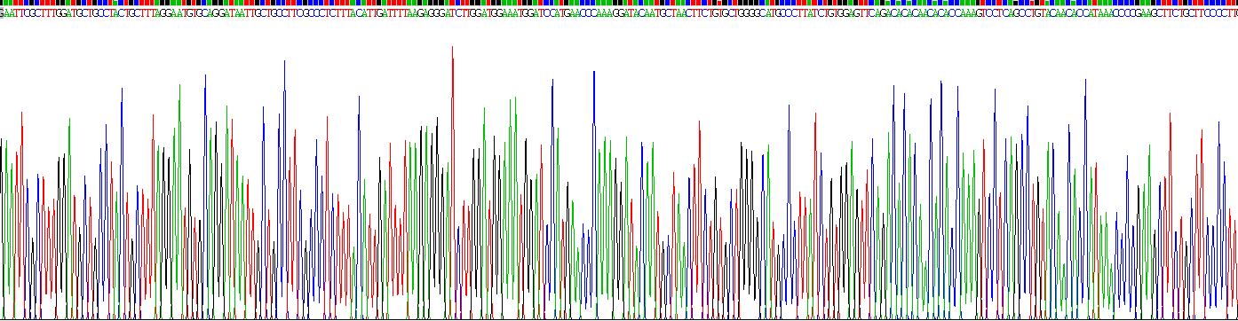 Recombinant Transforming Growth Factor Beta 2 (TGFb2)