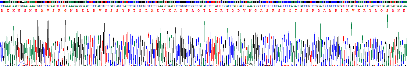 Recombinant Adrenomedullin (ADM)